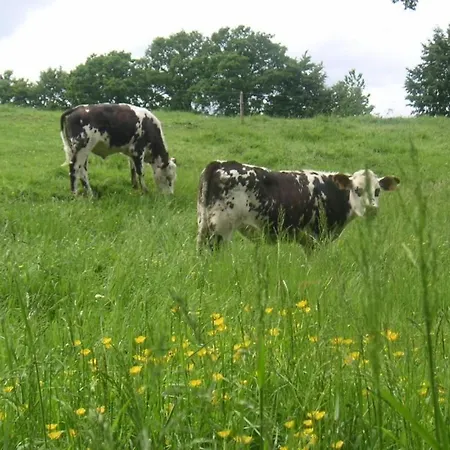 La Closerie De La Vergée Saint-Aubin-Fosse-Louvain
