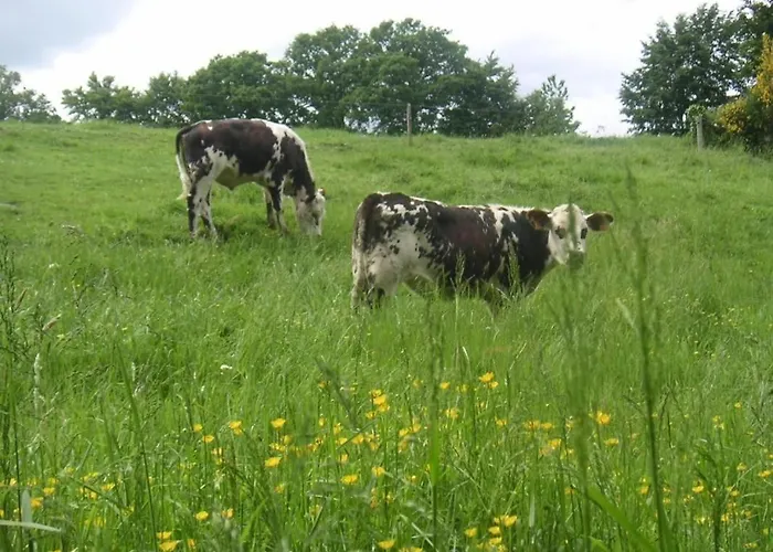 La Closerie De La Vergee Saint-Aubin-Fosse-Louvain