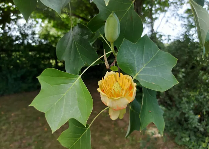La Closerie De La Vergee